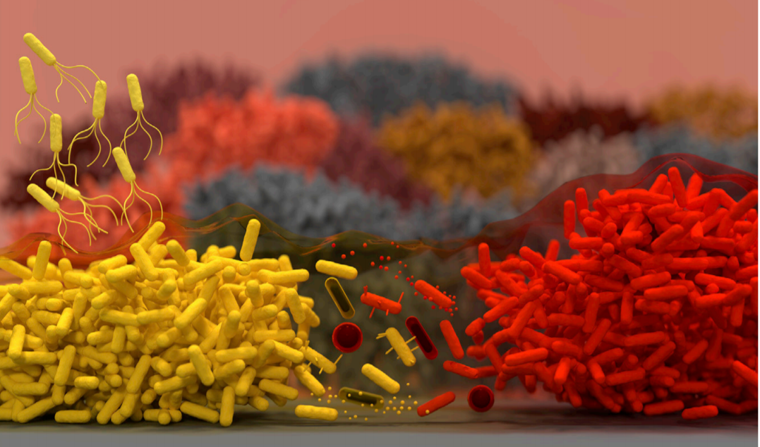 The Outrageous Rules of Life By Howard Bloom